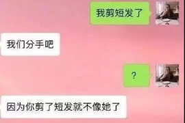 莘县融资清欠服务